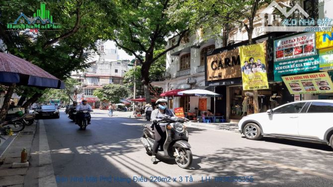 4201834 ảnh đại diện 1