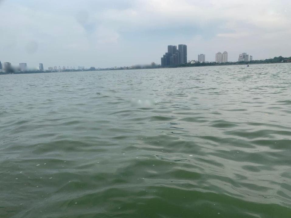4202144 ảnh đại diện 1