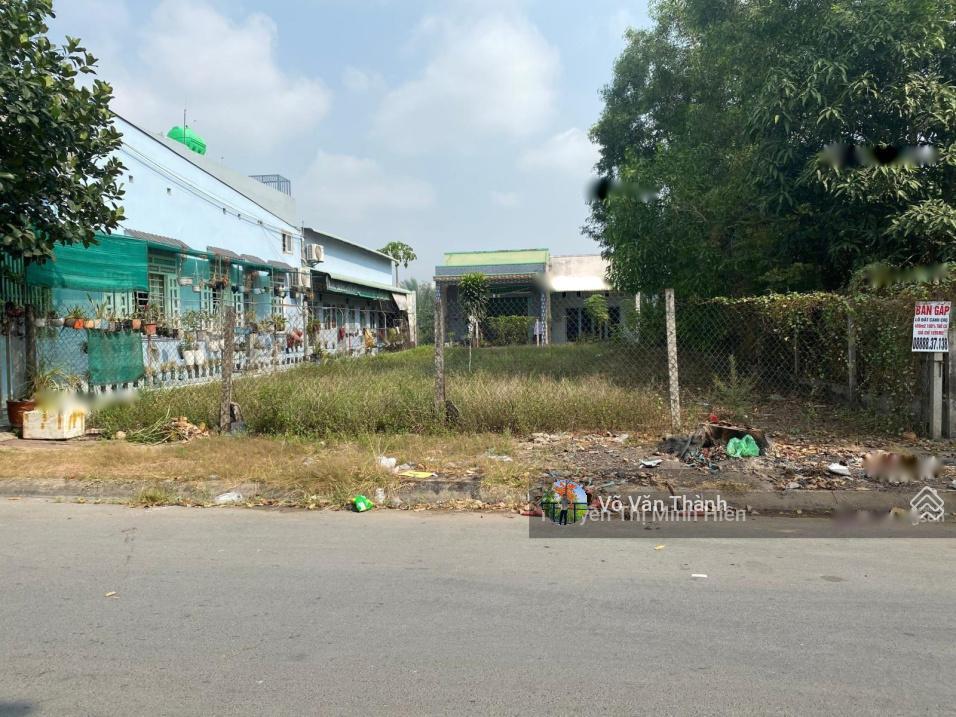 4201931 ảnh đại diện 1