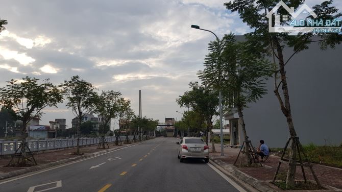 4203822 ảnh đại diện 1