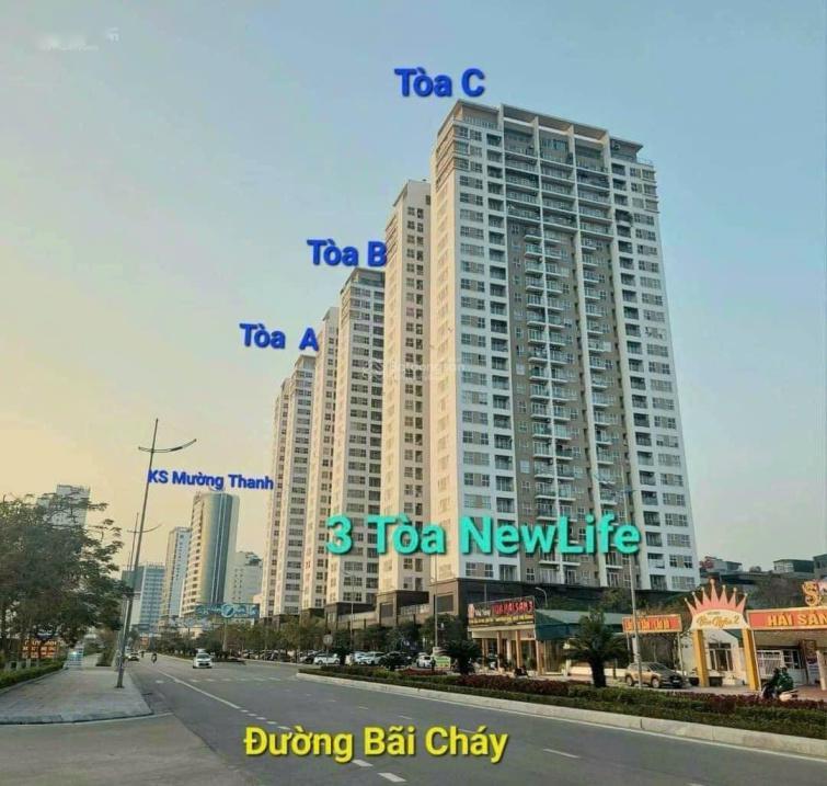4202851 ảnh đại diện 1