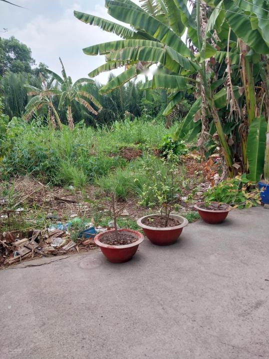 4201970 ảnh đại diện 1