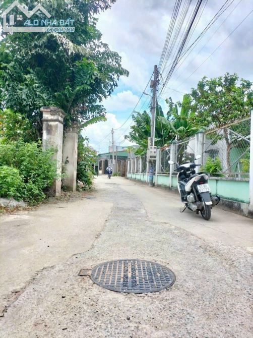 4203386 ảnh đại diện 1