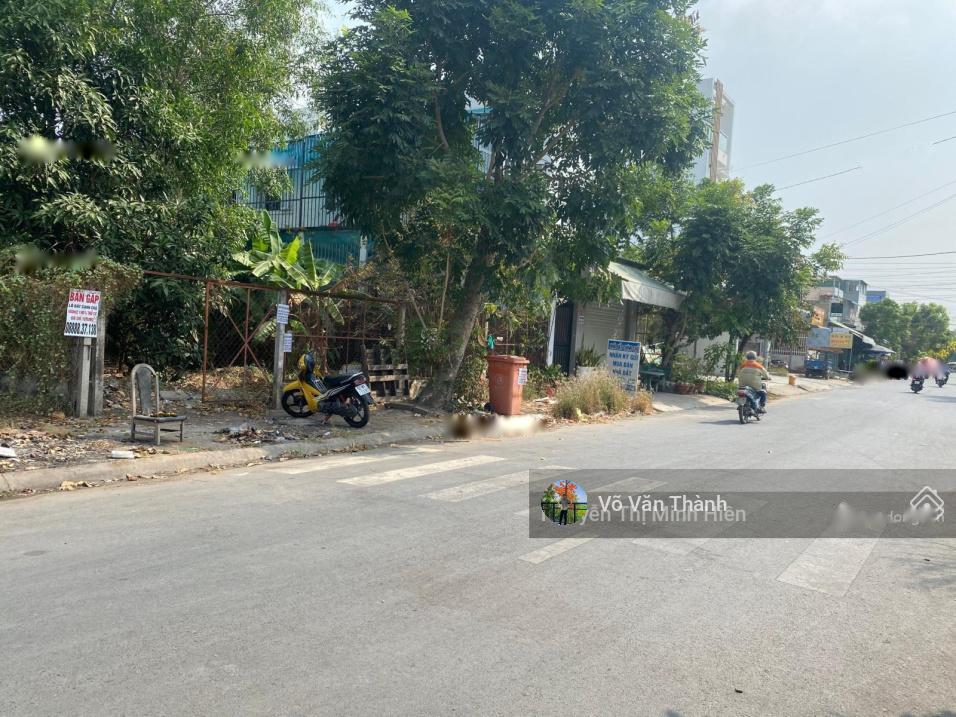 4201931 ảnh đại diện 1