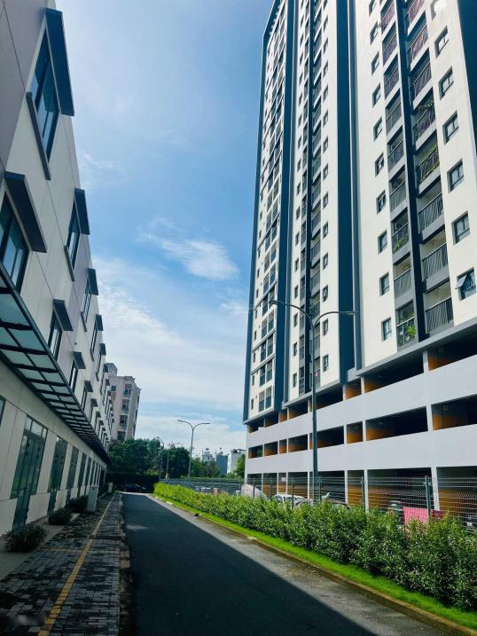 4200136 ảnh đại diện 1