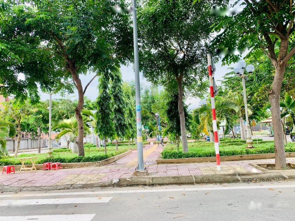 4201270 ảnh đại diện 2