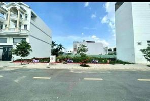 4202679 ảnh đại diện 2