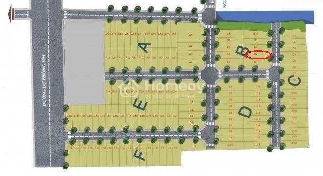 4203045 ảnh đại diện 1