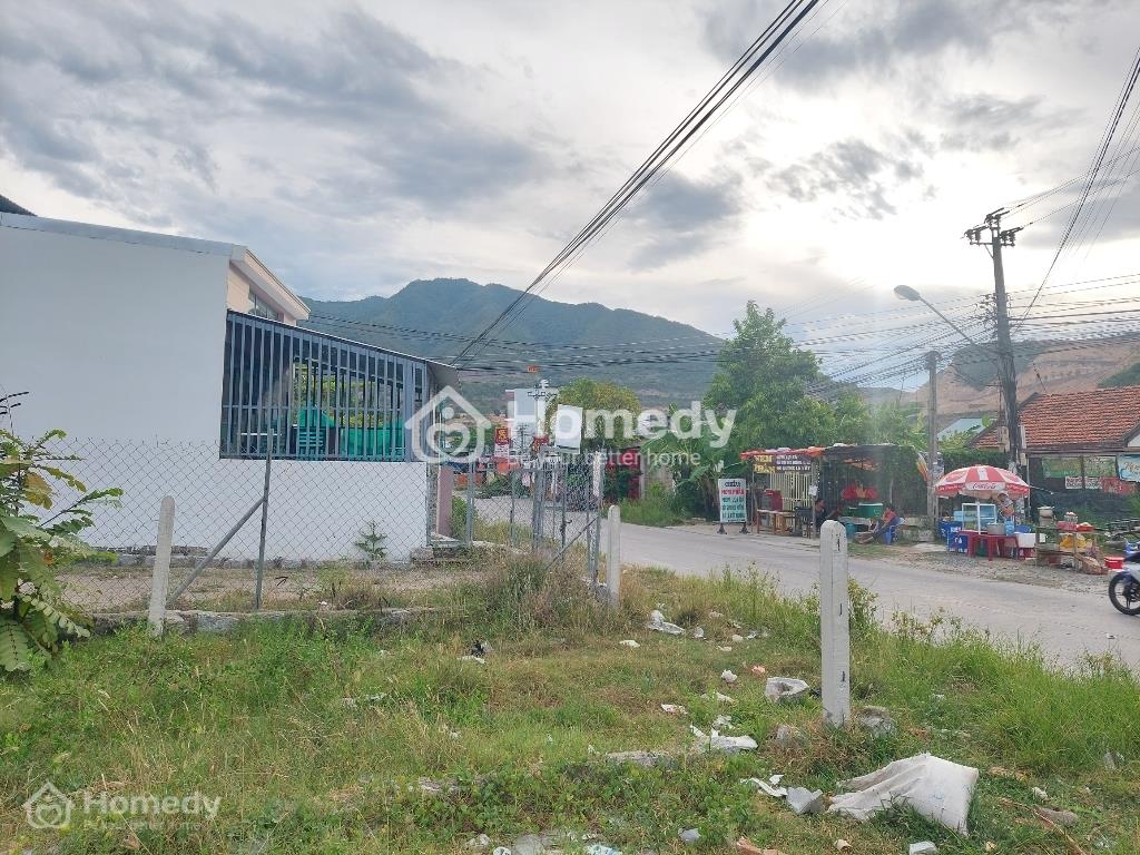 4202293 ảnh đại diện 2