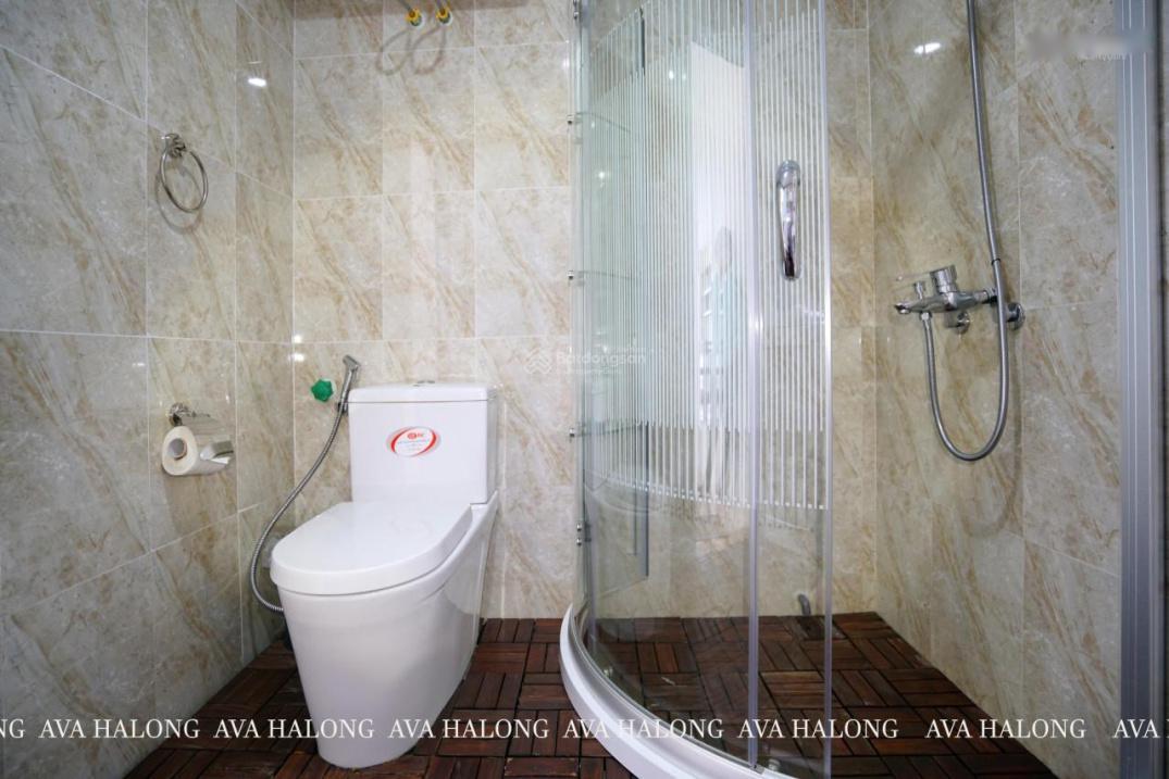 4202852 ảnh đại diện 2