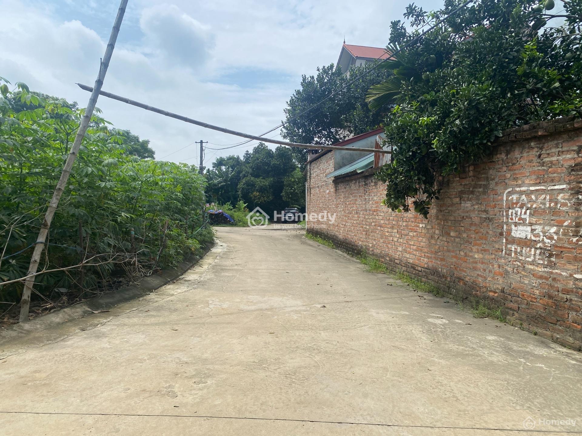 4203052 ảnh đại diện 2