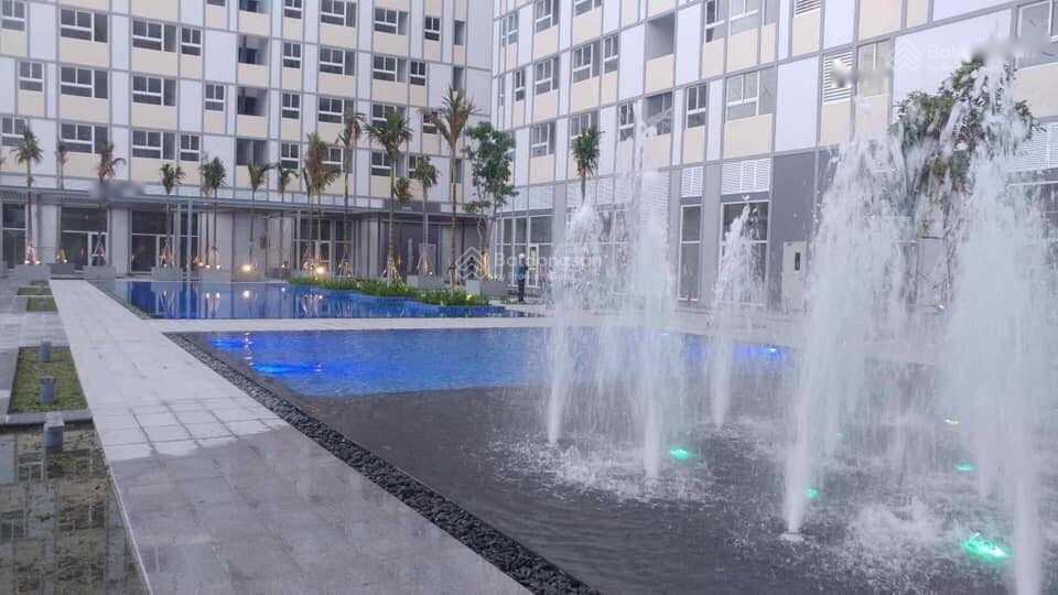 4200645 ảnh đại diện 1