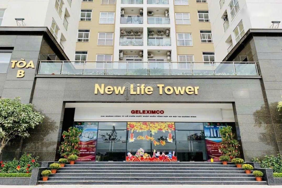 4202851 ảnh đại diện 2