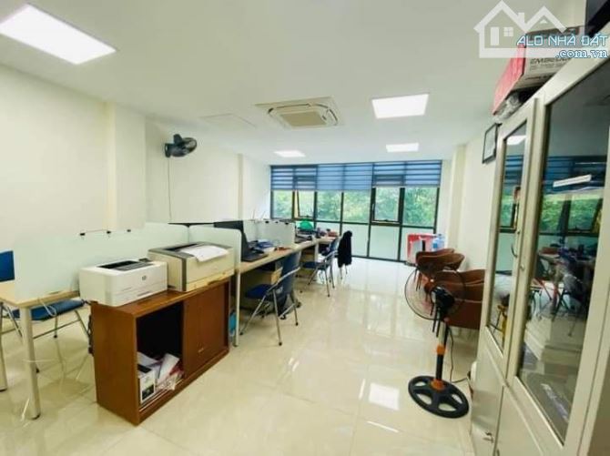 4201342 ảnh đại diện 1