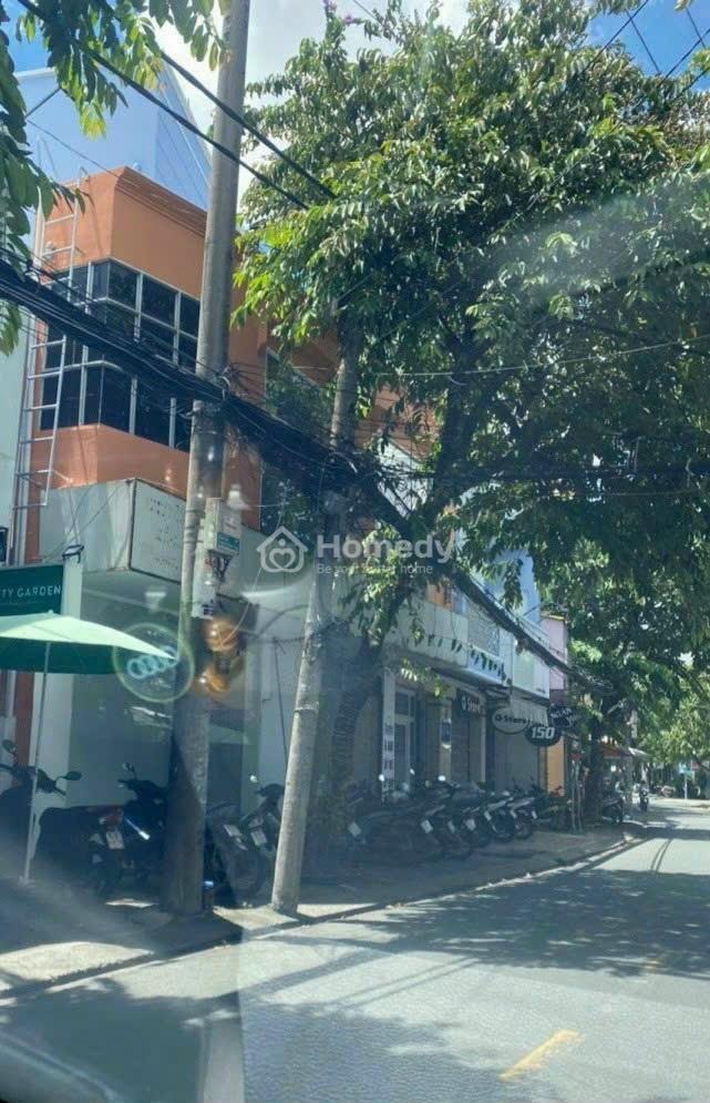 4200242 ảnh đại diện 2