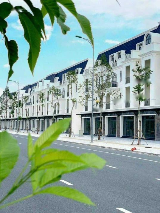 4203113 ảnh đại diện 1