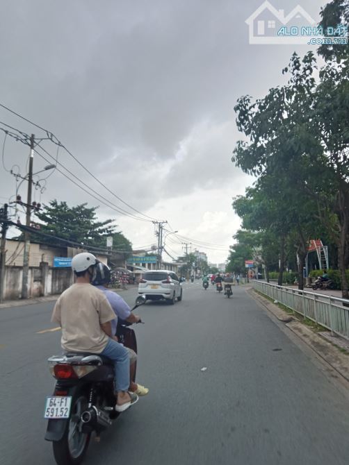 4201429 ảnh đại diện 2