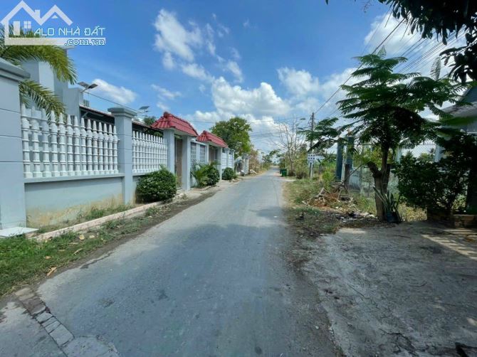 4200079 ảnh đại diện 1