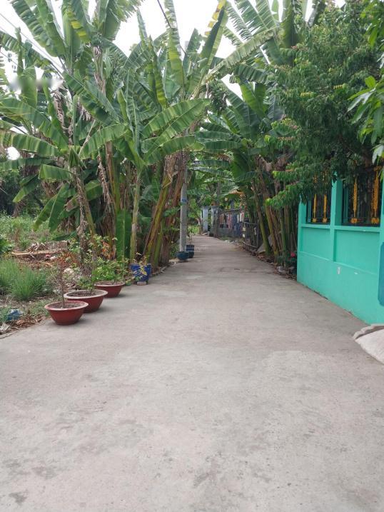 4201970 ảnh đại diện 1