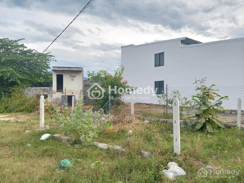 4202293 ảnh đại diện 1