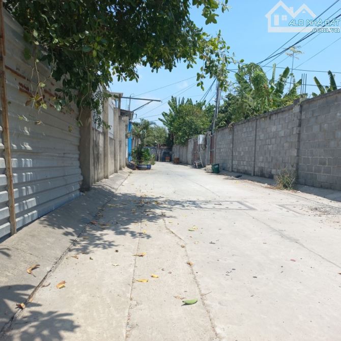 4199746 ảnh đại diện 1