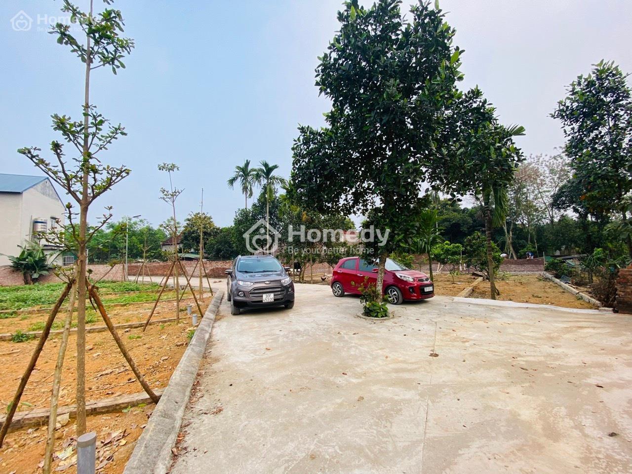 4203085 ảnh đại diện 1