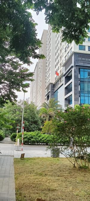 4205337 ảnh đại diện 1