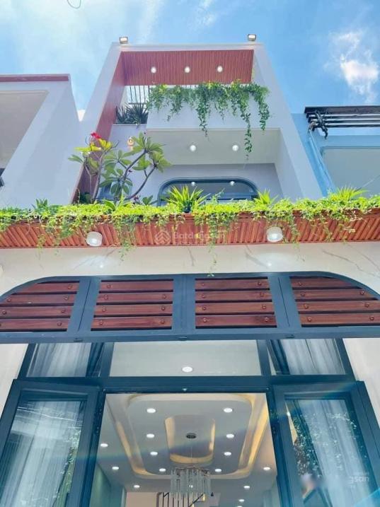 4204063 ảnh đại diện 1