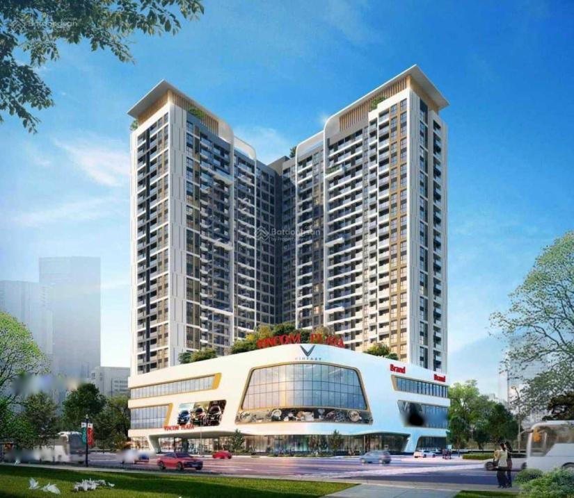 4205675 ảnh đại diện 1