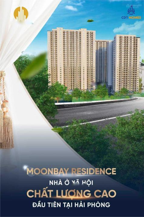 4204893 ảnh đại diện 2