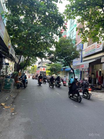 4205159 ảnh đại diện 1