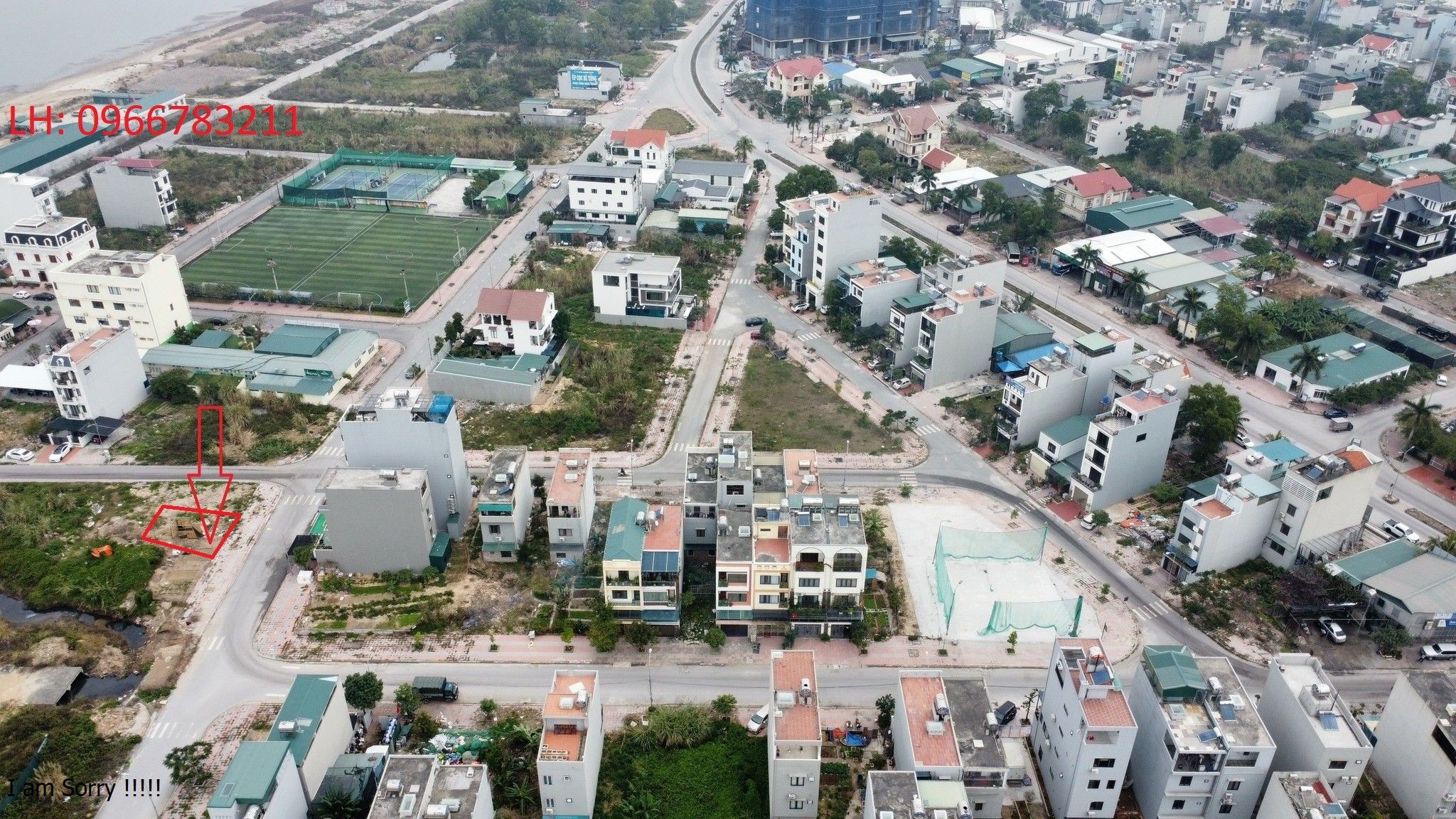 4206382 ảnh đại diện 1