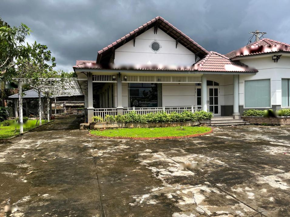 4204065 ảnh đại diện 1