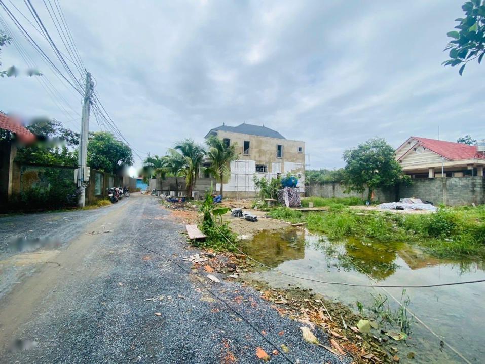 4204312 ảnh đại diện 1
