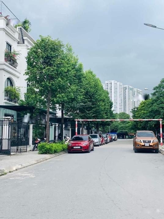 4207437 ảnh đại diện 2