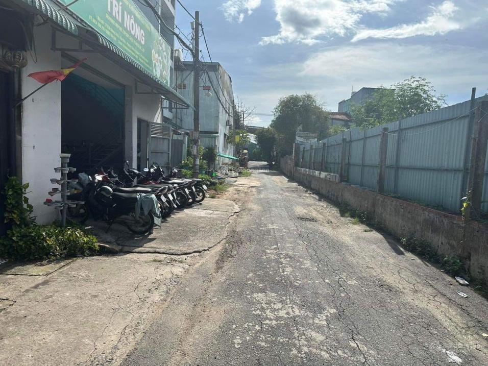 4205956 ảnh đại diện 1