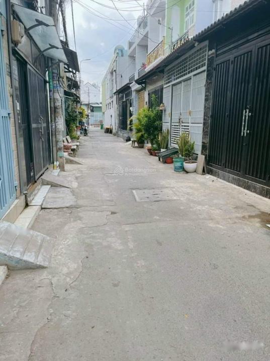 4204062 ảnh đại diện 2