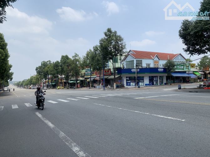 4206069 ảnh đại diện 2