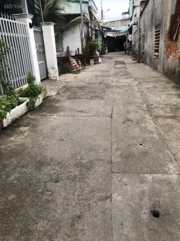 4205133 ảnh đại diện 2