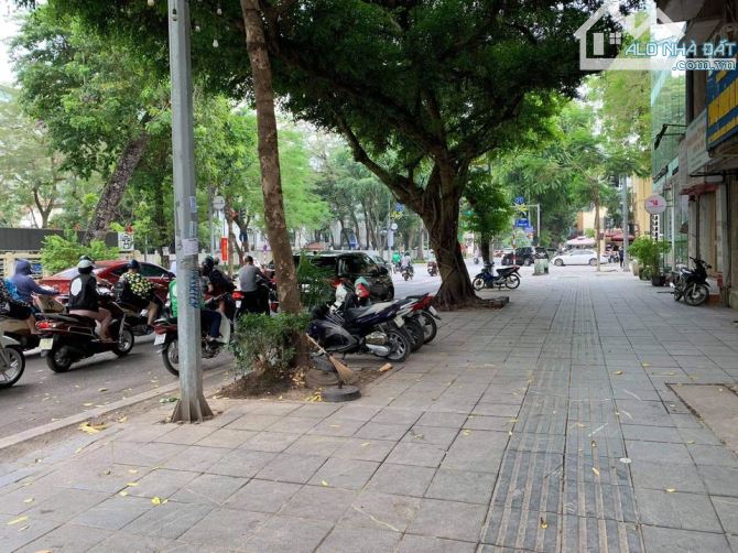 4203964 ảnh đại diện 1