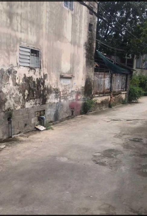 4204058 ảnh đại diện 2