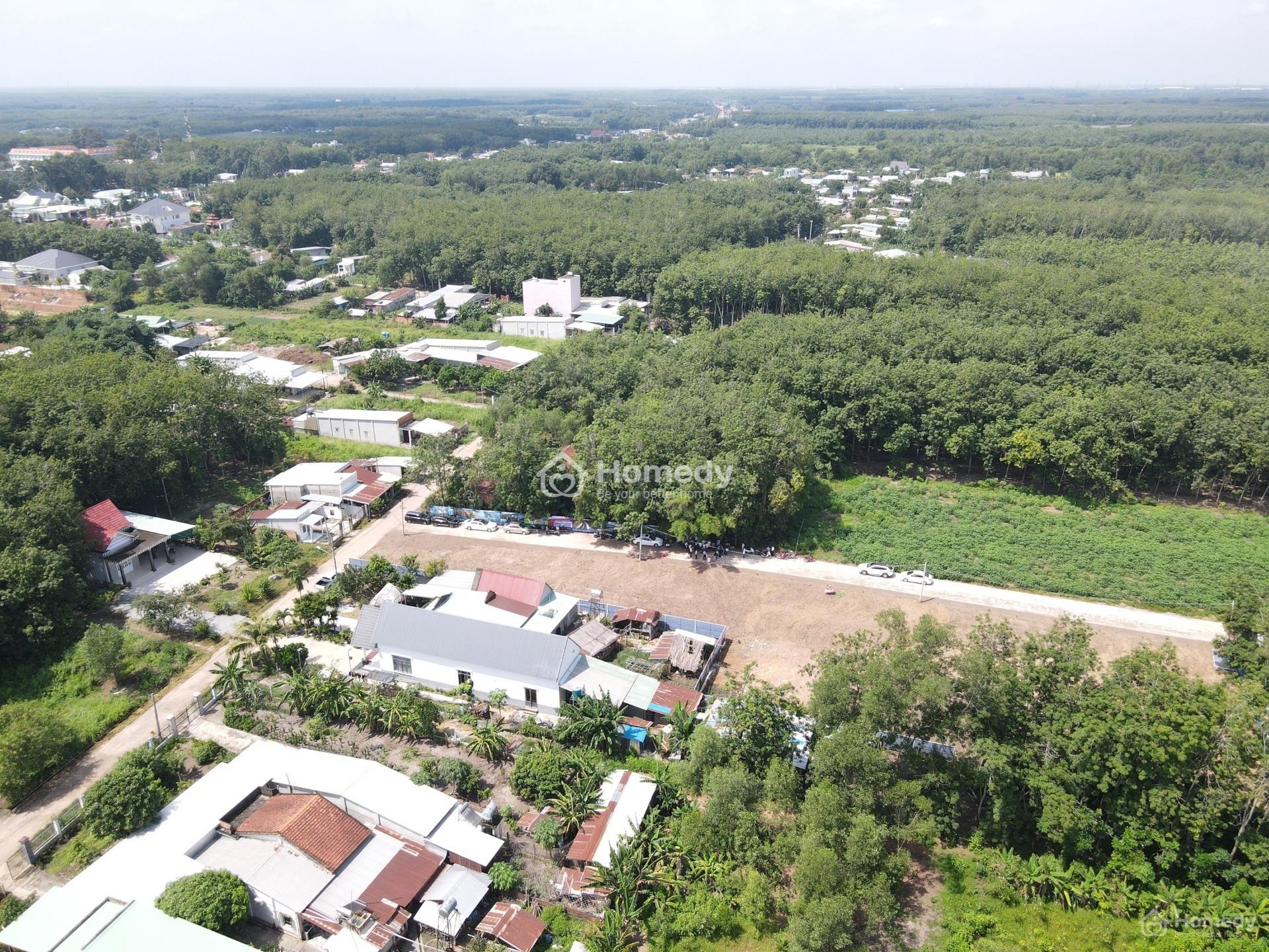 4207237 ảnh đại diện 1