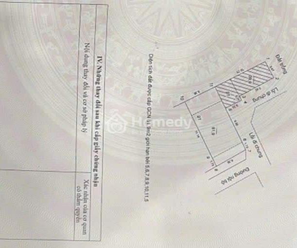 4206634 ảnh đại diện 2