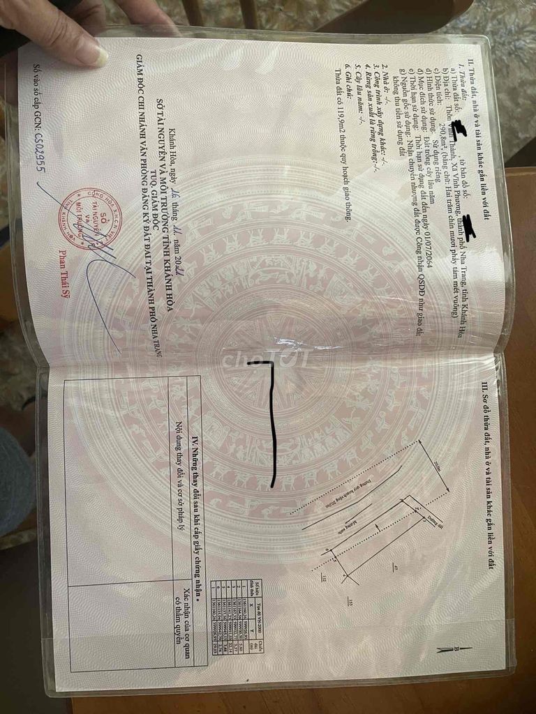 4207240 ảnh đại diện 1