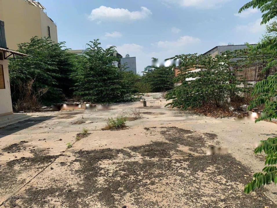 4204065 ảnh đại diện 1