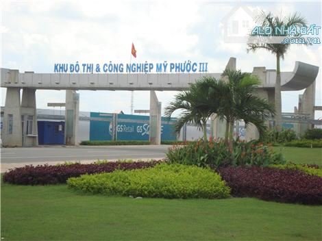 4206072 ảnh đại diện 1