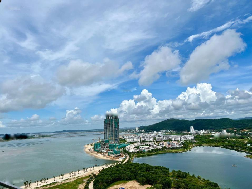 4206952 ảnh đại diện 1