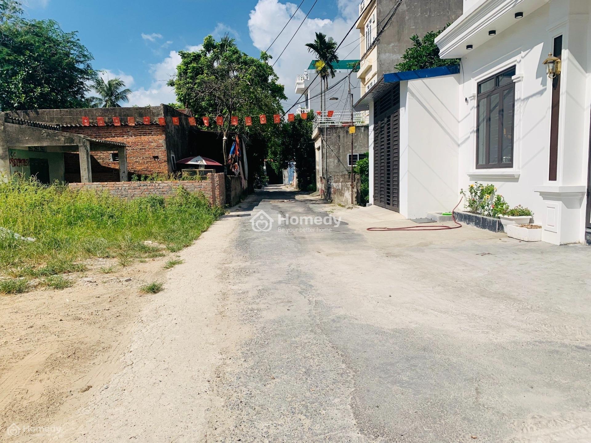 4204260 ảnh đại diện 2