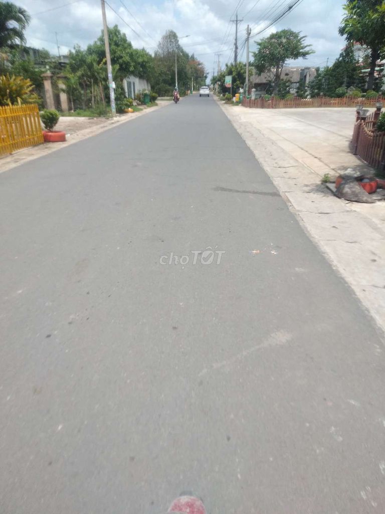 4205049 ảnh đại diện 2