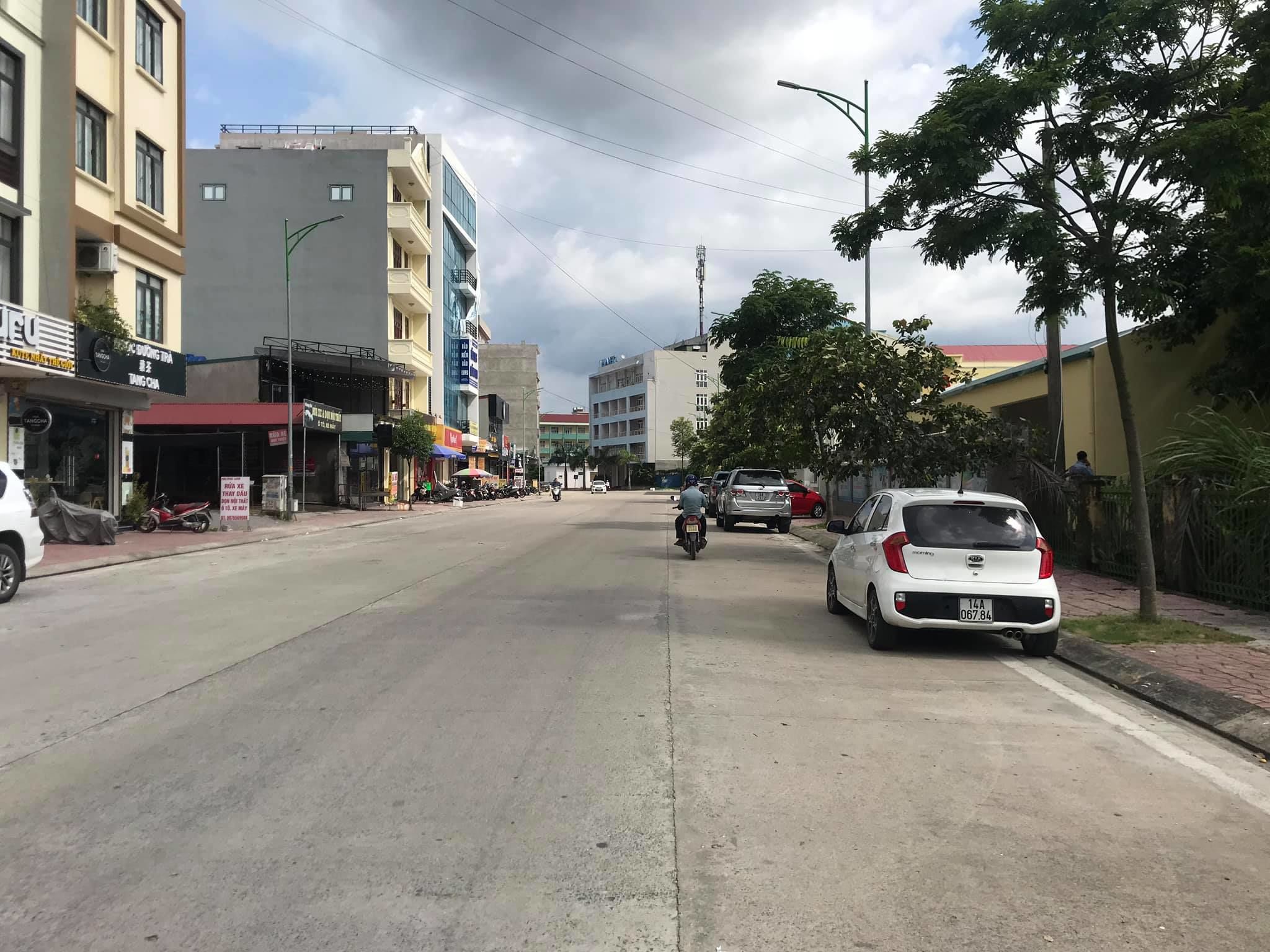 4206383 ảnh đại diện 1